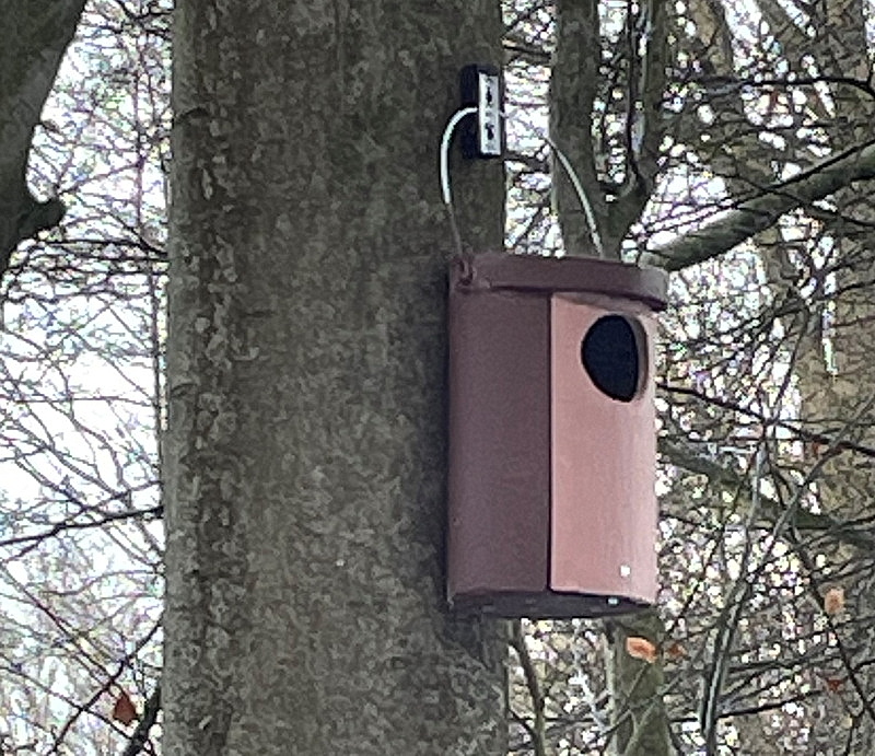 Nistkasten für den Waldkauz