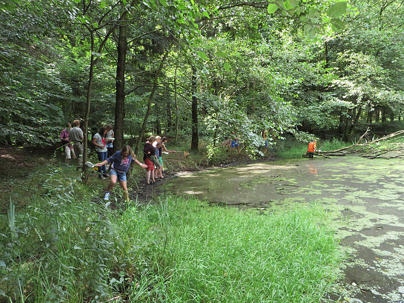 Auf Expedition im finsteren "Urwald".