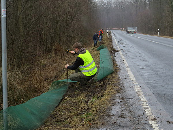 Etwa 150m lang sollte der Zaun werden.