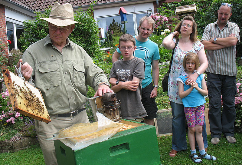 Die Waben können aus den Bienenkästen herausgenommen werden