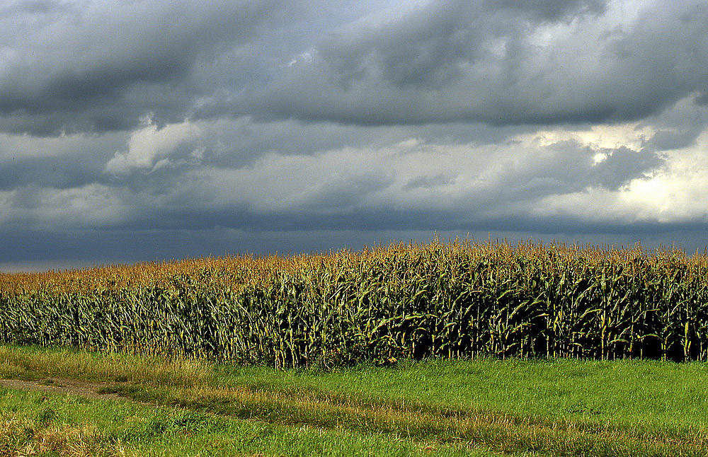 Herbstwolken über der Niederung