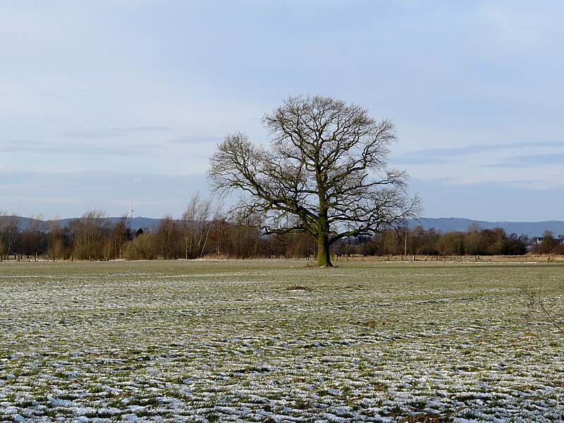 Ein eisiger Ostwind blies über die freien Flächen.