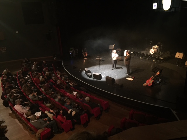 Les Vinyls - Théâtre de la Vallée de L'Yerre de Brunoy