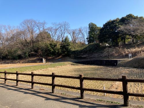 早春の寺家ふるさと村熊野谷戸