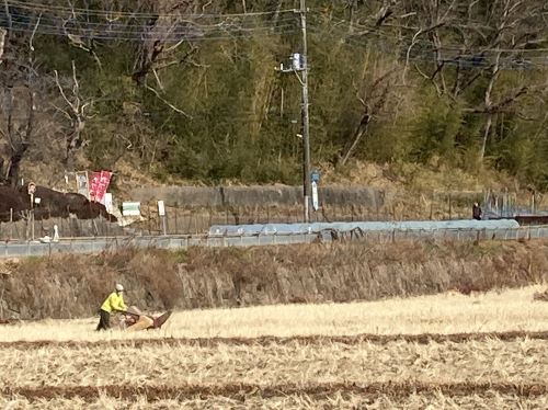 田植えの準備をする山田谷戸