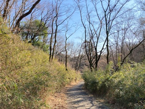 寺家ふるさとの森の散策路