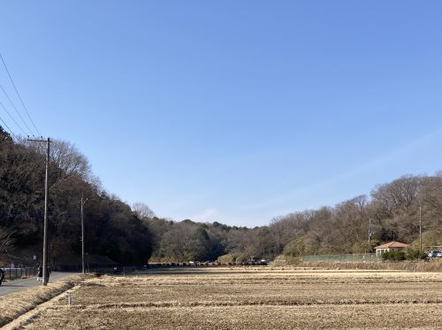 早春の寺家ふるさと村山田谷戸