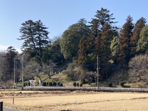 寺家ふるさとの森熊野神社鳥居が