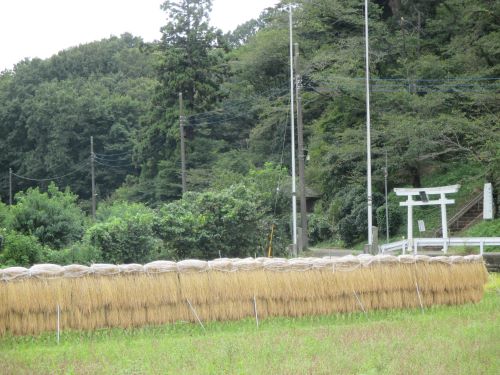 寺家ふるさと村の熊野谷戸から熊野神社