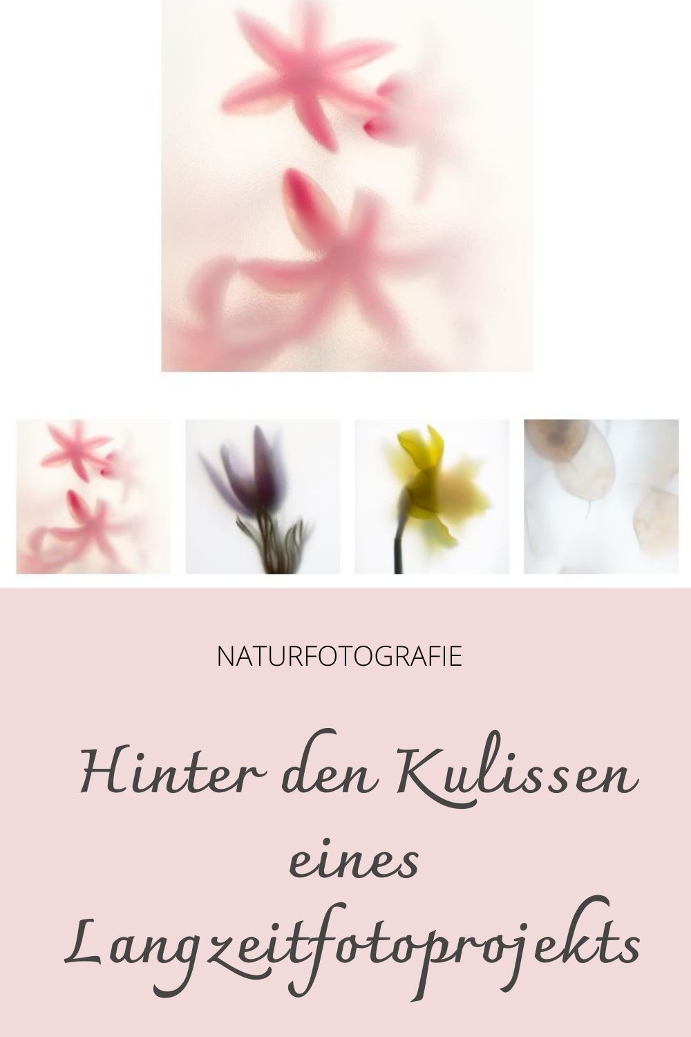 Hinter den Kulissen eines Langzeitfotoprojekts