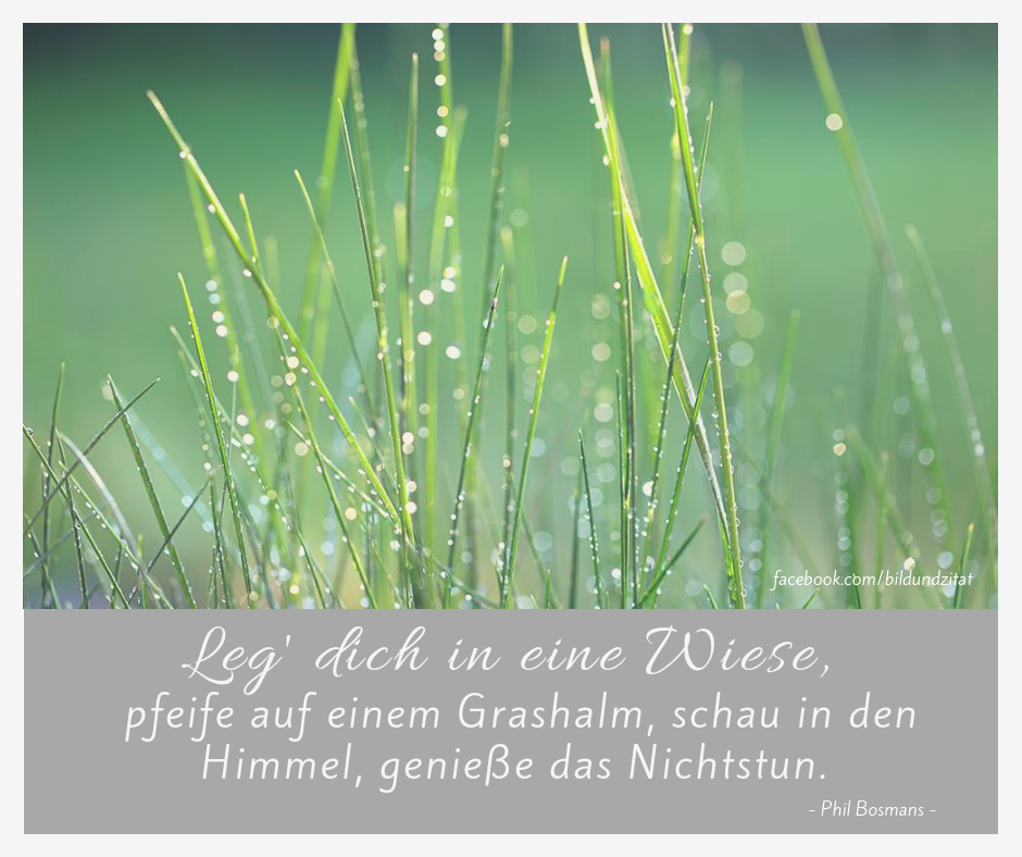 Zehn Wunderbare Zitate Uber Die Natur Alexandra M Brandstetter Outdoorfotografie Papeterie