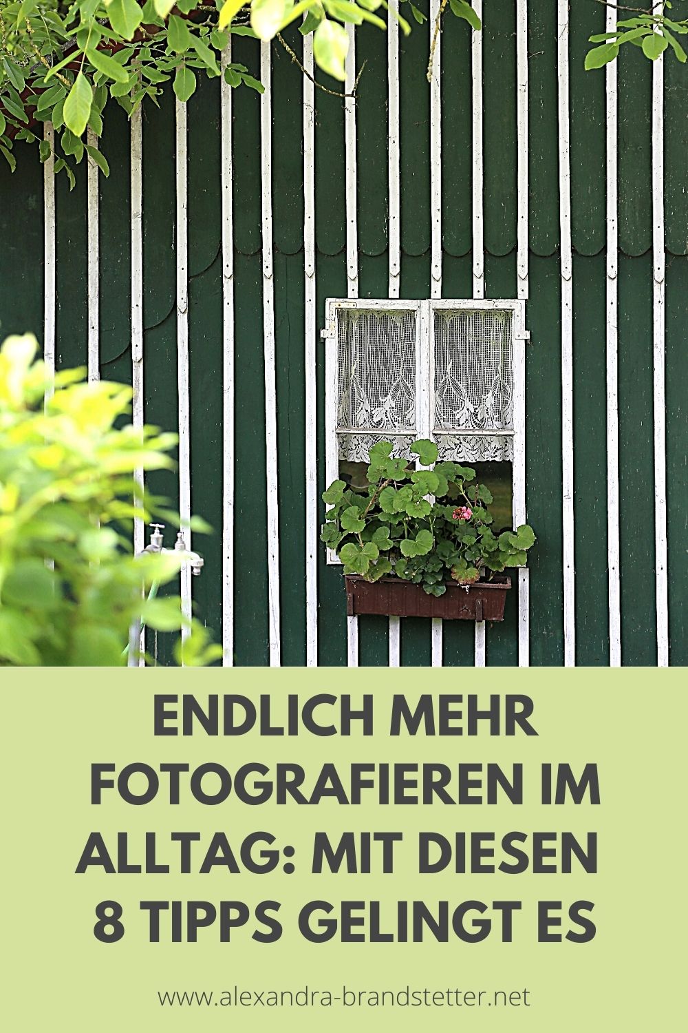 Mehr Fotografieren im Alltag: 8 praktische Tipps bringen dich weiter