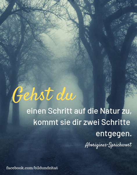 Zehn Wunderbare Zitate Uber Die Natur Alexandra M Brandstetter Outdoorfotografie Papeterie