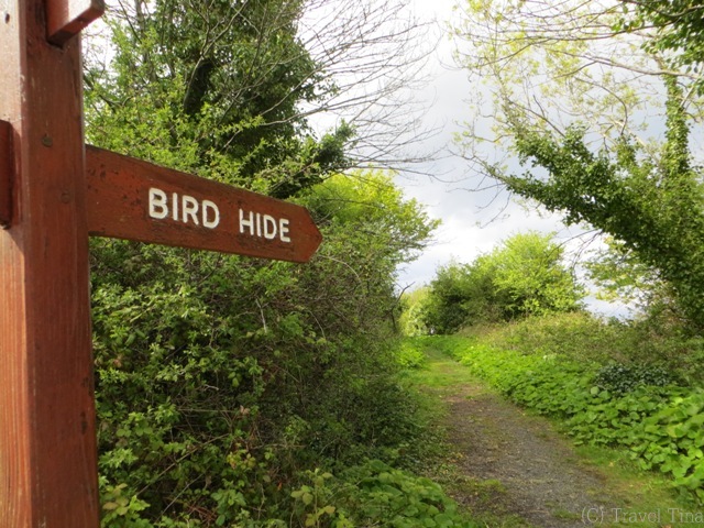 Der Pfad zum Birds Hide.