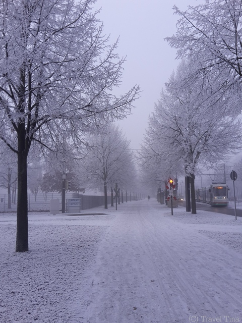 Auf dem Weg zum Campus.