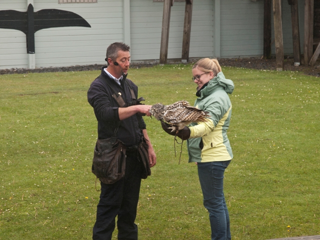 Vogeltrainer Jamie und Uhu Ullu mit mir. 