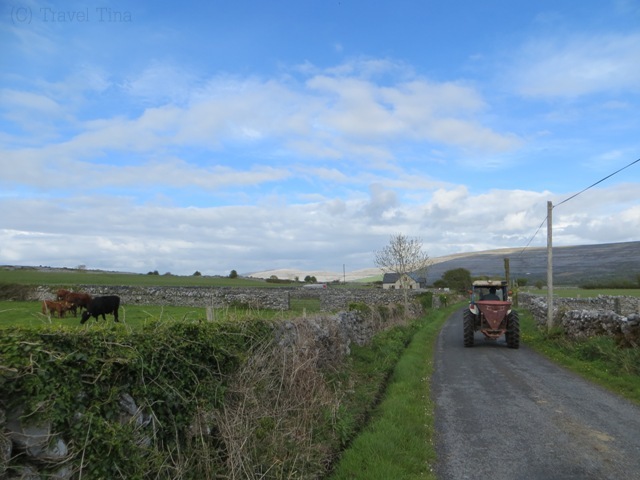 Farmlife in Ballyvaughan. 