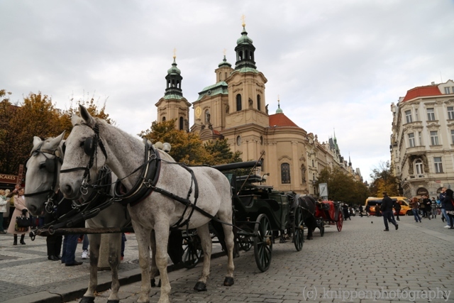 Historische Kutschfahrt.