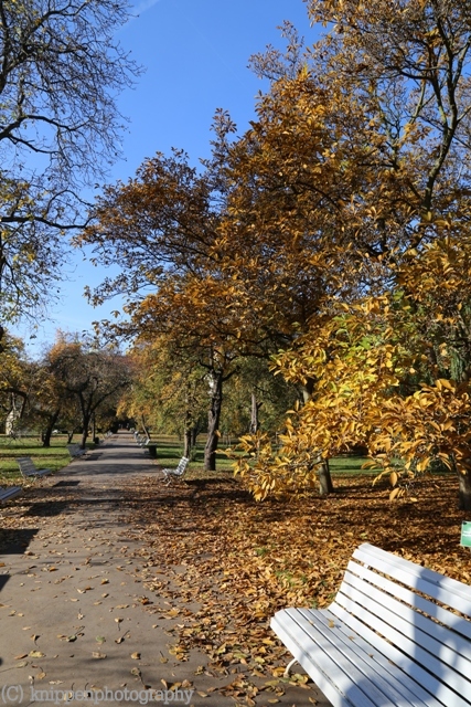 Herbtspaziergang.