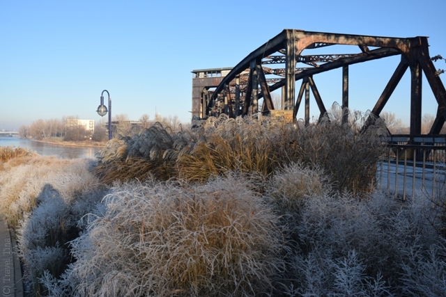 Frostige Spaziergänge entlang der Elbe mit Blick auf die Hubbrücke. 