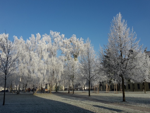 Alles eingefroren auf dem Campus.