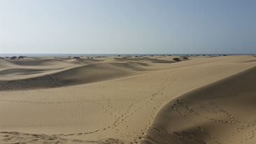 Wüstendünen Maspalomas/ Gran Canaria.