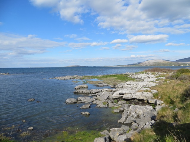 Die Bucht bei Ballyvaughan, sogar hier findet sich das graue Gestein.