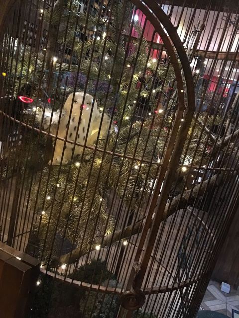 Schneeeule Hedwig bewacht den Eingang.