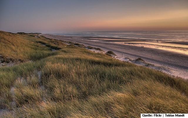 Hotel für Hund und Mensch auf Sylt Urlaub mit dem Hund, ob im