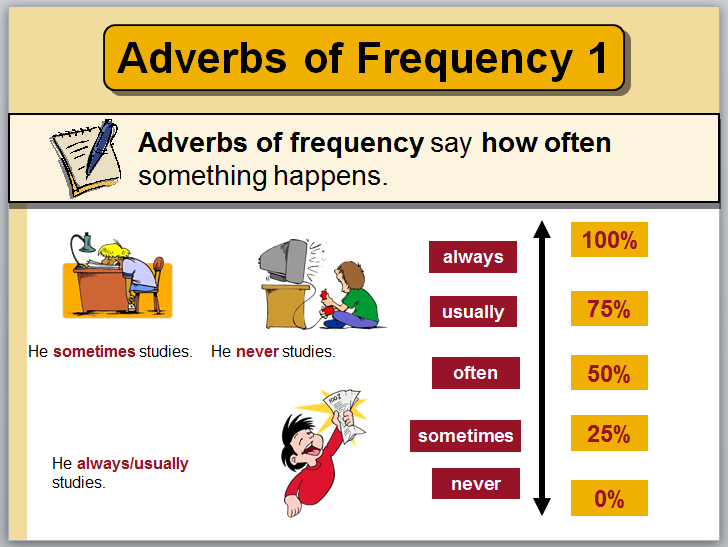 Frequency adverbs. Exercise 1