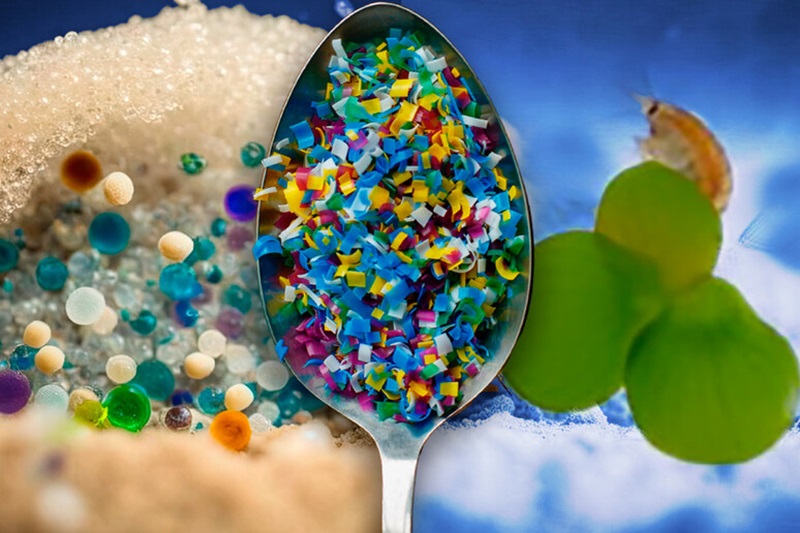 SINDROME da MICROPLASTICHE