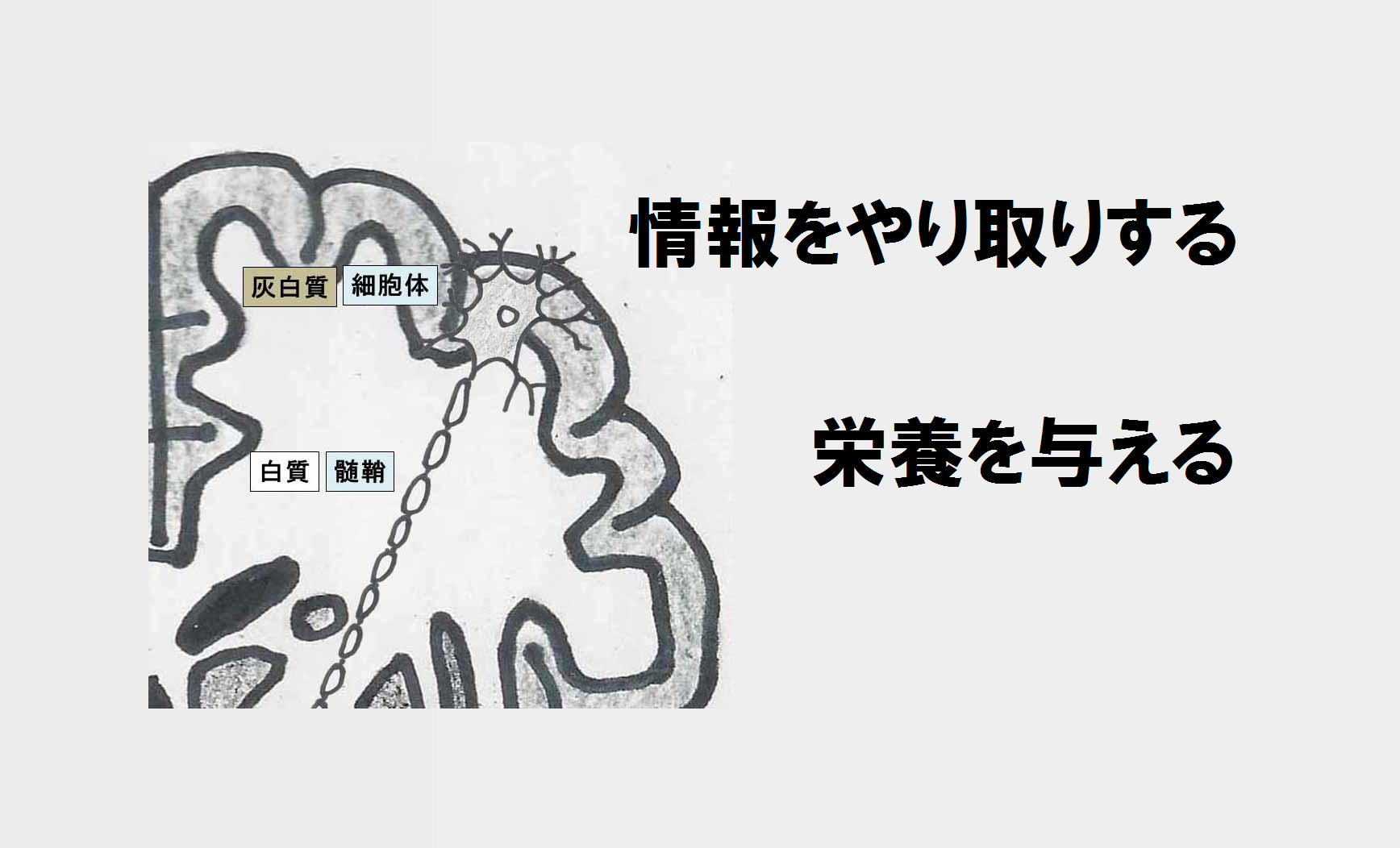 くぅの相対心理学 jimdo