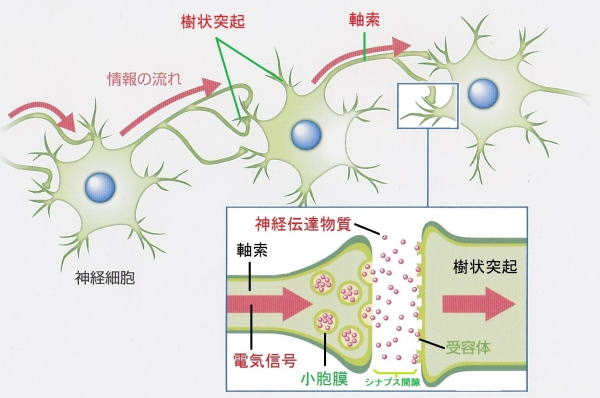 くぅの相対心理学 jimdo