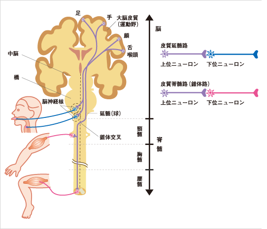 くぅの相対心理学 jimdo