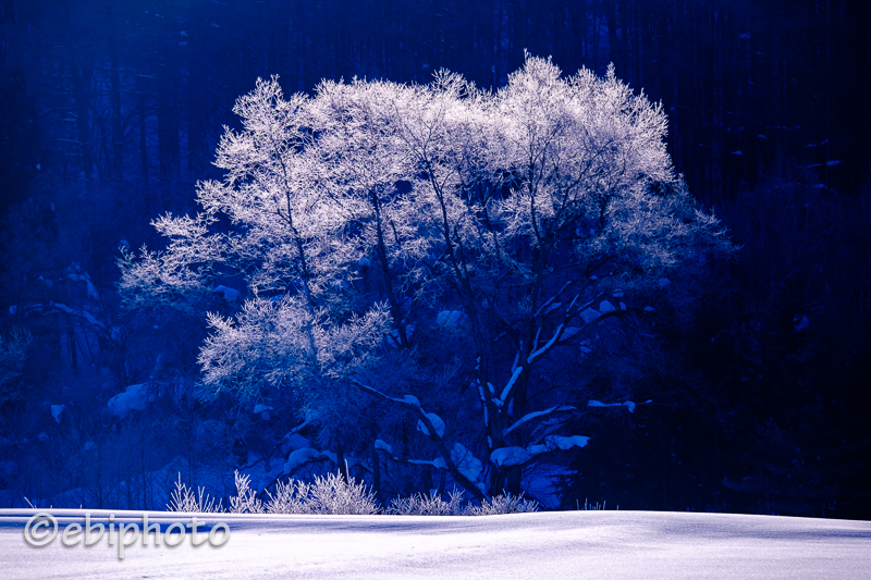 会津の雪景色