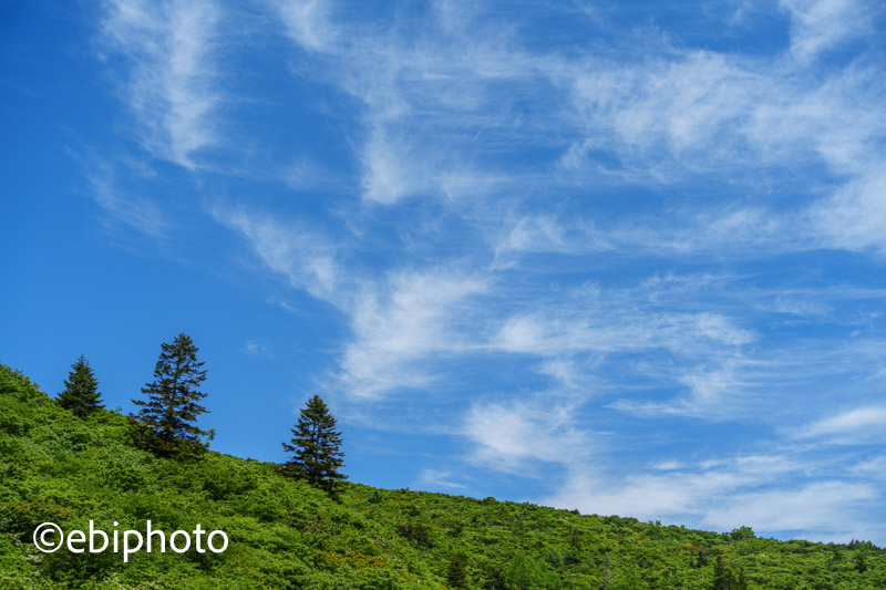 蔵王の空