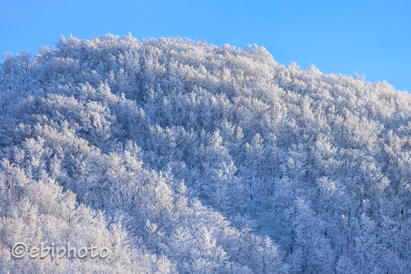 南東北の雪山