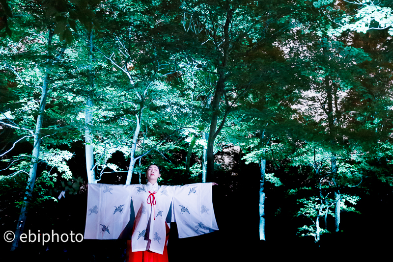 山形県朝日町の素敵な景色と空気神社ライトアップ