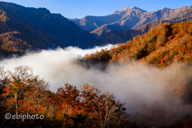 全日本山岳写真展　入選