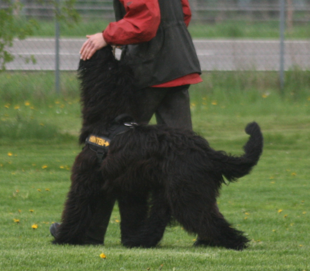April 2013, Training Obedience