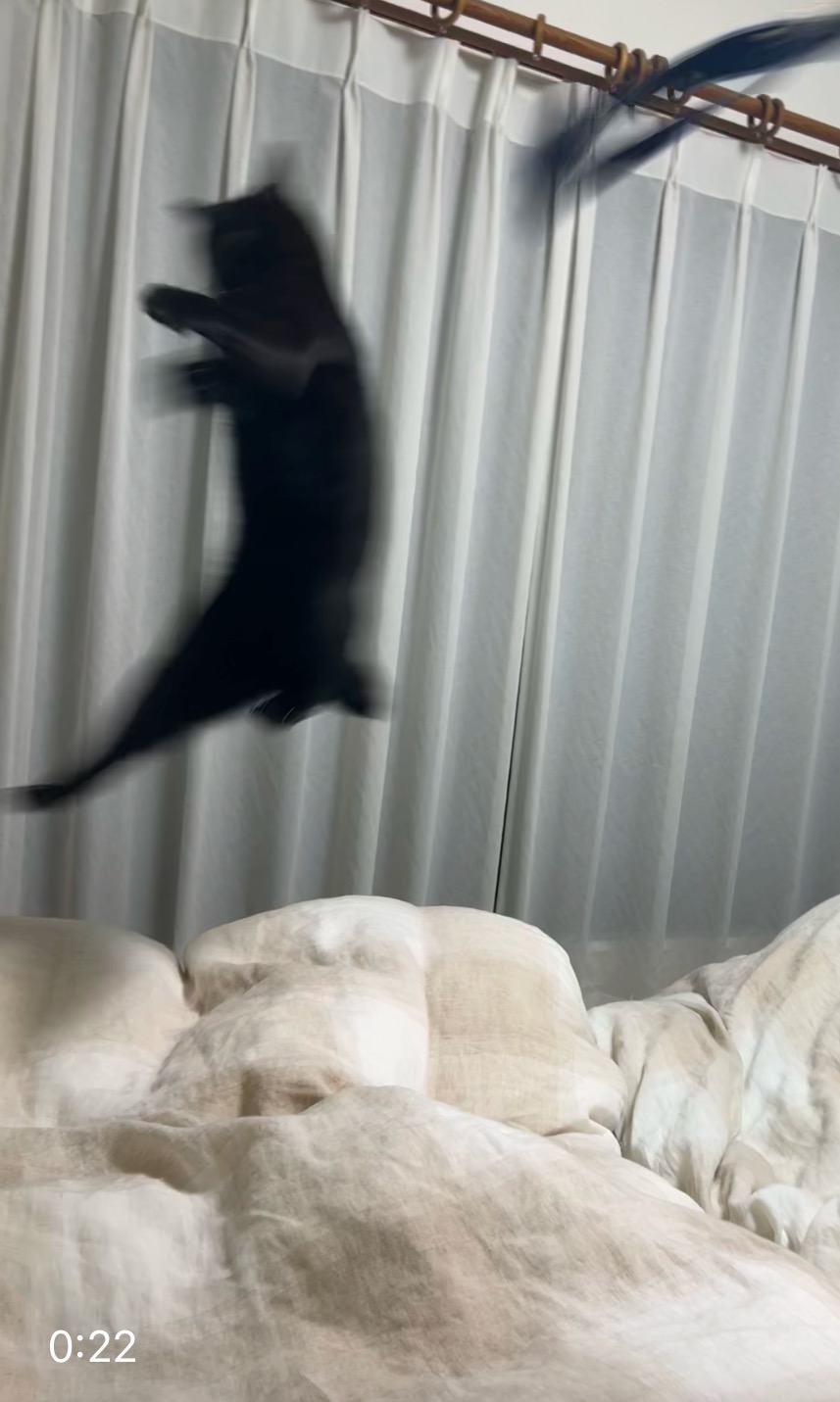 ゆっくりしたらいいのにね