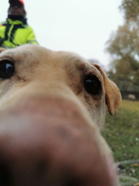 Betty est toujours à l'adoption ! 