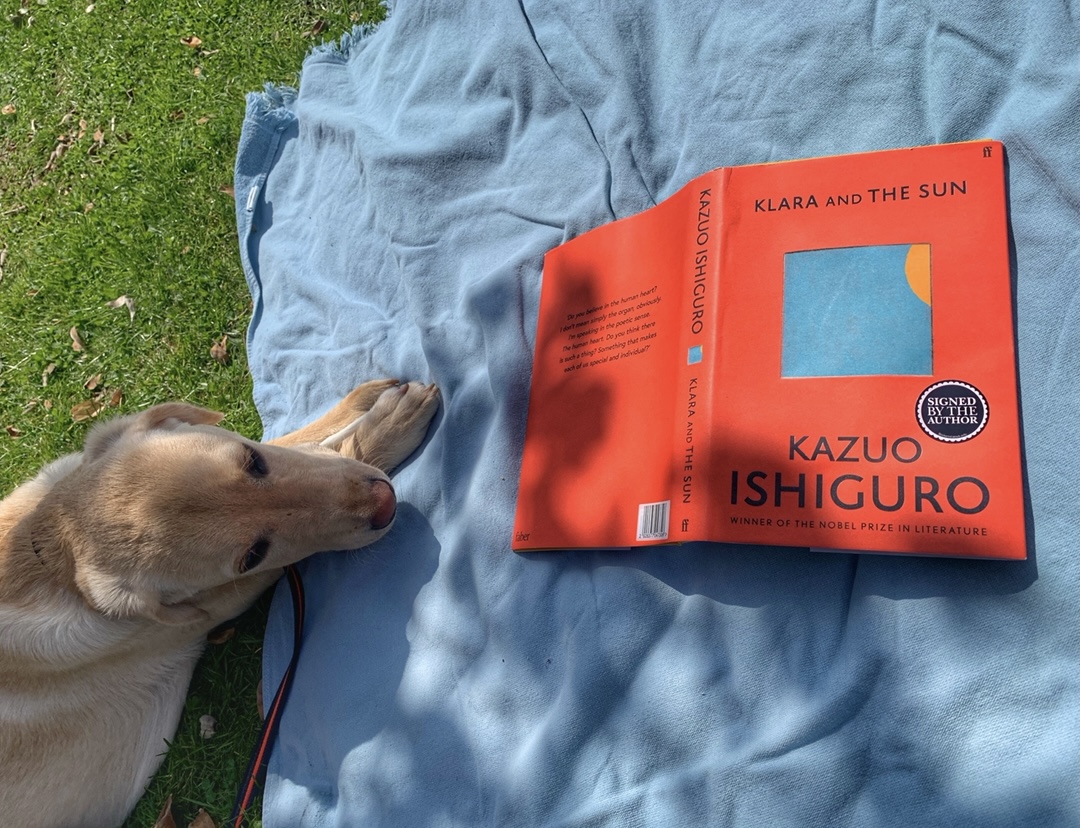 Klara and the Sun