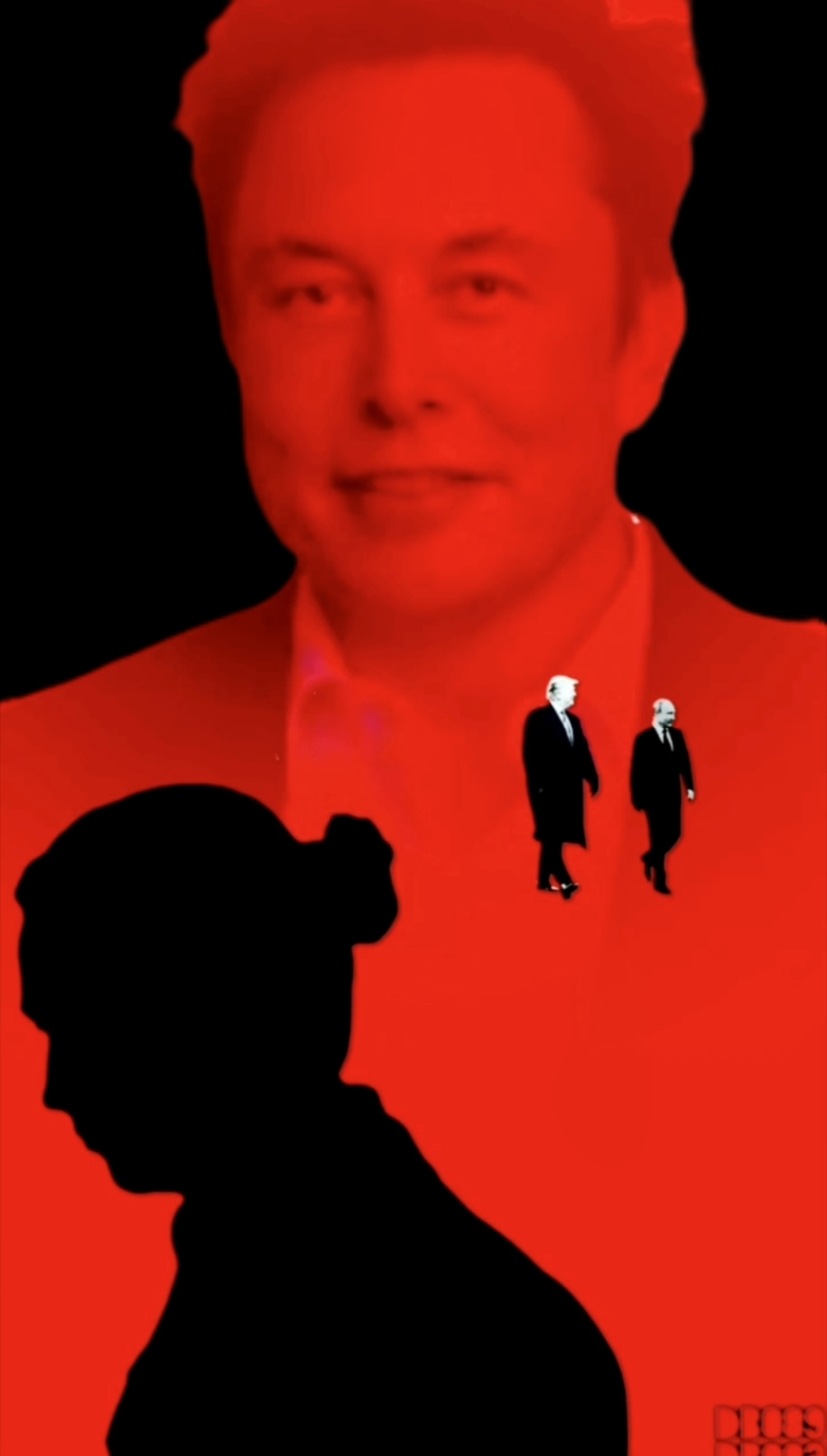 GERMANYV 2.0 (Waidel, Musk, Trump, Höcke) 