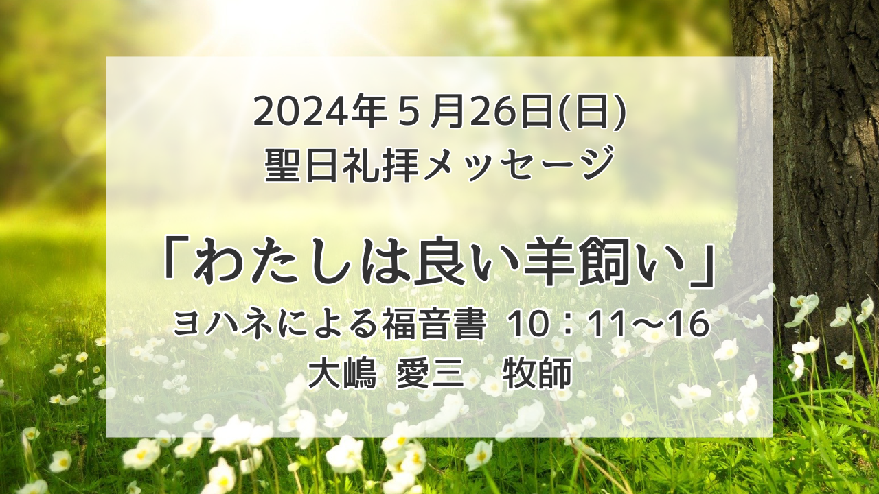 「わたしは良い羊飼い」5月26日