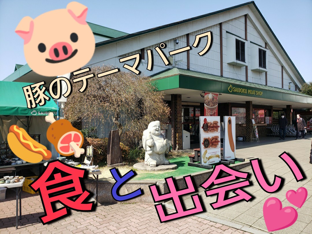 5月26日（日）11:00～【日高市】『豚のテーマパークで「食」と「出会い♡」』婚活パーティー♡《初参加・一人参加歓迎♪》