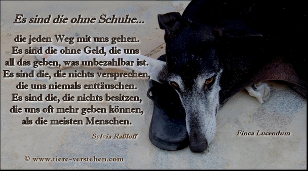 Quelle:www.tiere-verstehen.com