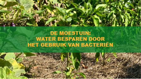 water besparen door het gebruik van bacteriën