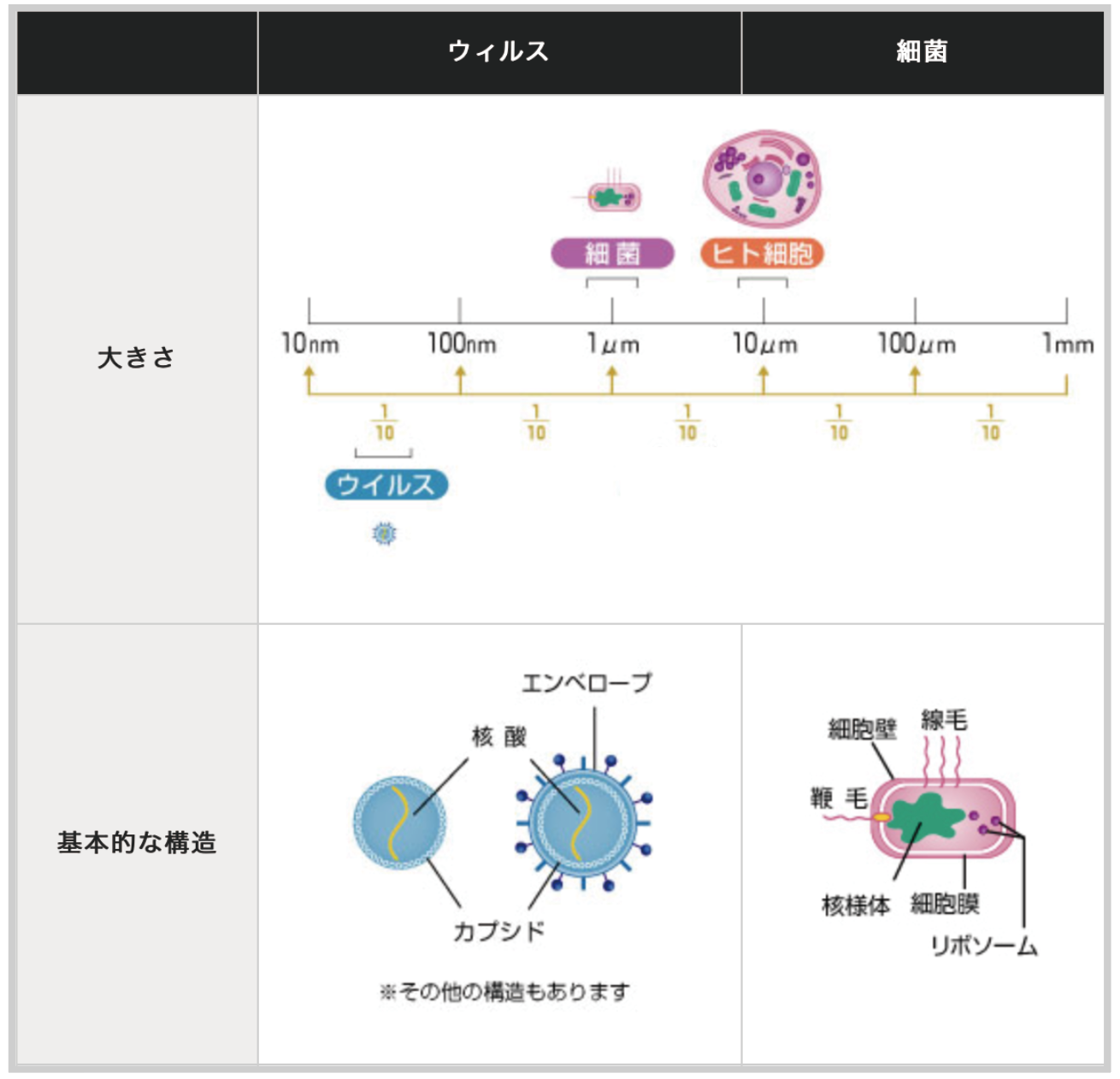 パン工房 王様のかくれ家