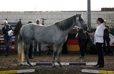 Foto Andreas Heinrich